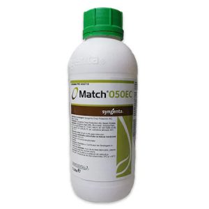 Match 050 EC