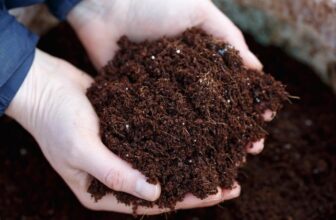 Cel mai bun ingrasamant organic 2023