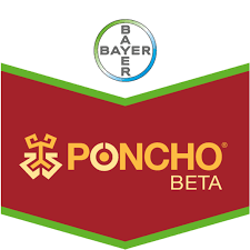 Poncho Beta 453,34 FS