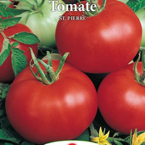 Semințe tomate St. Pierre – Prima Sementi