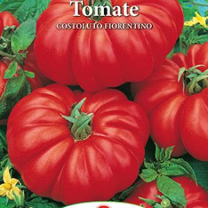 Seminte tomate Costoluto Fiorentino – Prima Sementi