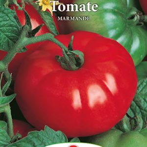Seminte tomate Marmande – Prima Sementi