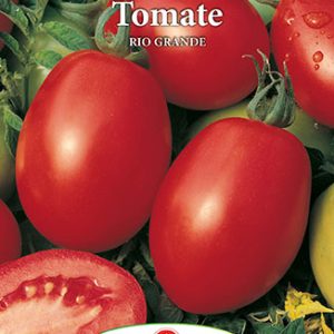 Seminte tomate Rio Grande – Prima Sementi