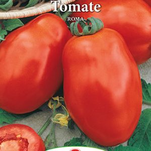 Seminte tomate Roma – Prima Sementi